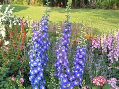 -深圳国际园林花卉博览园