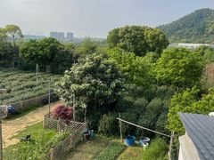 -树山生态村