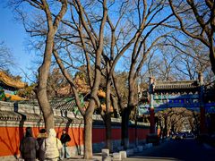-北京国子监胡同