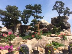 -南通洲际绿博园