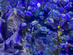 -太平洋海底世界