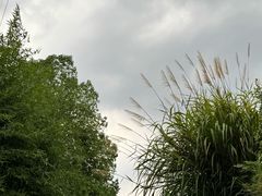-远山有窑