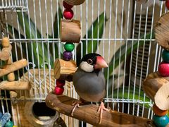 -舌尖上的食缘花园主题餐厅