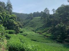 -西湖风景区十里琅珰-五云山