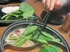 -呷哺呷哺(宝山正大乐城店)