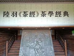 -大唐贡茶院