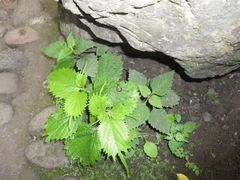 -百里峡七彩艺术小镇