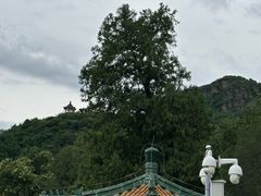 -八大处公园