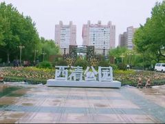 -西清公园