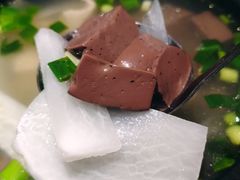 -九道菜有鸡鱼头(石鼓路店)