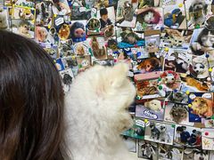 -美联众合动物医院·24h转诊中心