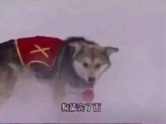 -吕氏疙瘩汤·新鲁菜(潍坊银座店)