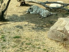 -郑州银基黄帝宫御温泉