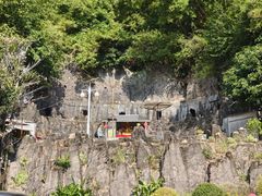 -东莞市大岭山森林公园