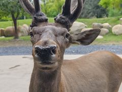 -北京野生动物园