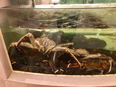 -白金汉爵大酒店(相城店)