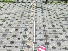 -四川省成都市彭州市白鹿镇
