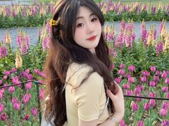 -苏州上方山国家森林公园