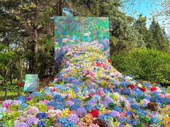 -上海共青森林公园