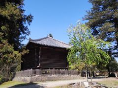 -奈良公园