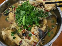 -全乐鱼馆·淳牌有机鱼直营店