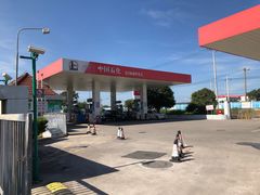 -野生动物园-停车场