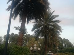 -广州长隆国际大马戏