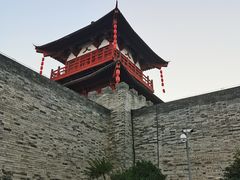 -洛阳市隋唐城遗址植物园