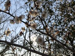 -春暖花开(西溪店)