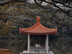 -深圳仙湖植物园