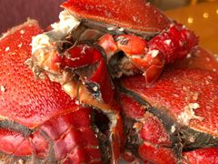 -视界美食自助餐厅·石家庄希尔顿酒店