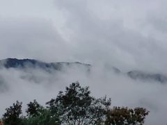 -紫云台香草园