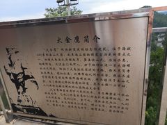 -大金鹰园
