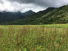 -硗碛藏寨·神木垒景区