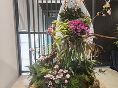 -石家庄市植物园