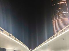 -演武大桥观景平台