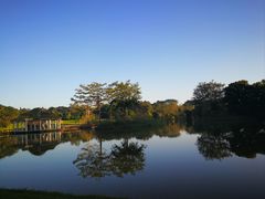 -中国科学院西双版纳热带植物园