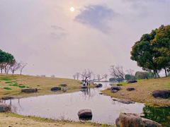 -滆湖低碳生态公园