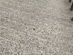 -上海科技馆(地铁站)