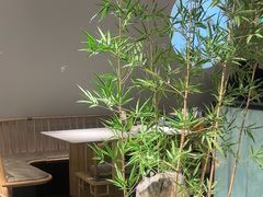 -绿茶餐厅(淮安吾悦广场店)