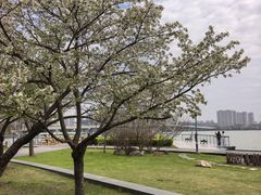 -蠡湖大桥公园