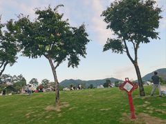-白石龙音乐公园