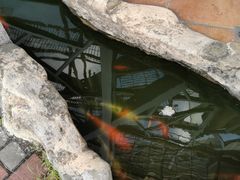 -云顶咖啡厅·中西餐(天诚港店)