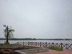 -丁香湖公园