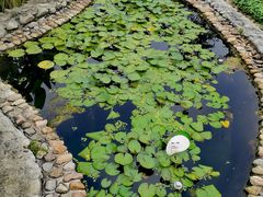-活水公园