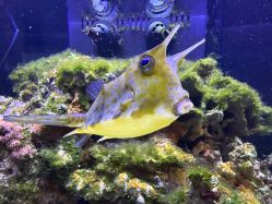 -Zoolung Zoolung动物主题公园(海信广场店)