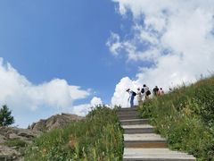 -白草畔自然风景区