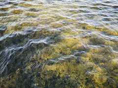 -春花秋色城市公园