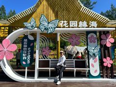 -莫尔道嘎国家森林公园