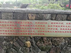 -王借岗森林公园